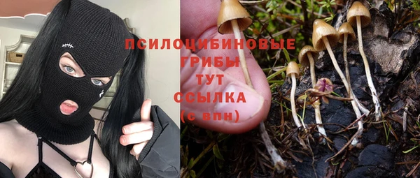кокс Белокуриха