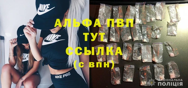 кокс Белокуриха