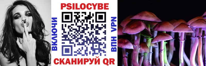 что такое наркотик  Куровское  Галлюциногенные грибы MAGIC MUSHROOMS 